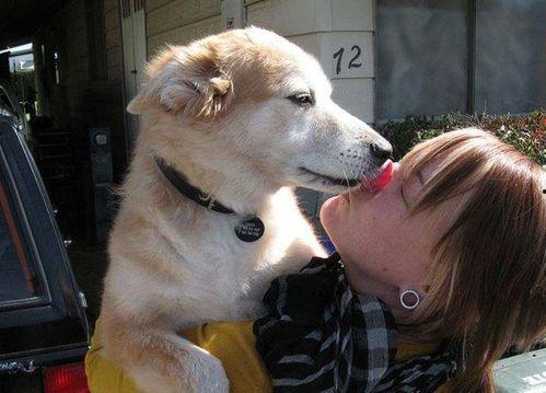 娱乐吃瓜酱舔狗,娱乐界的甜蜜苦涩